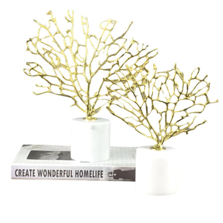 تحفة زينة - سيلترا | من هاي بوينت