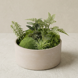 شجرة الإيريس