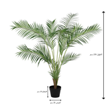 شجرة الأوريـسا