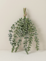 شجرة روليانيس