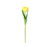 شجرة بلوميرا