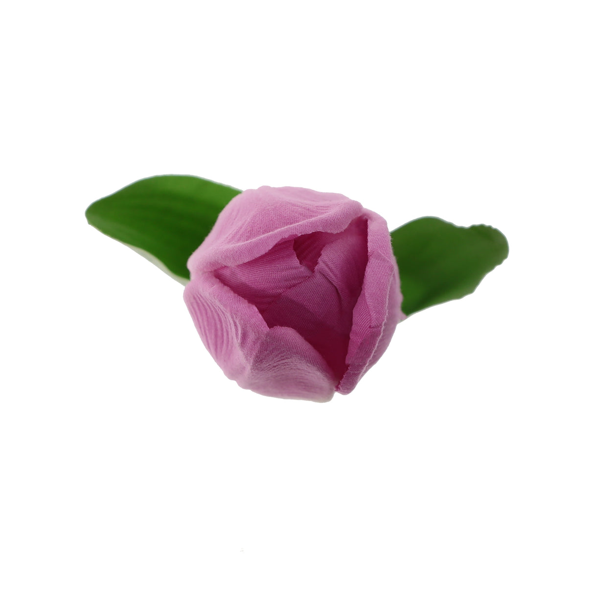 شجرة توليفا