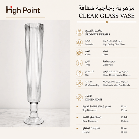 فازا | رينوفا
