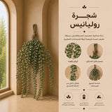 شجرة روليانيس