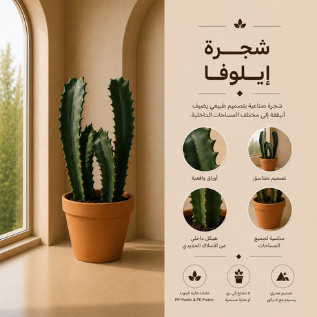 شجرة إيلوفا