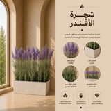 شجرة الأفندار
