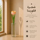 شجرة فلورينا