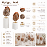 تحفة زينة | نيفورا