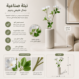 شجرة روزا