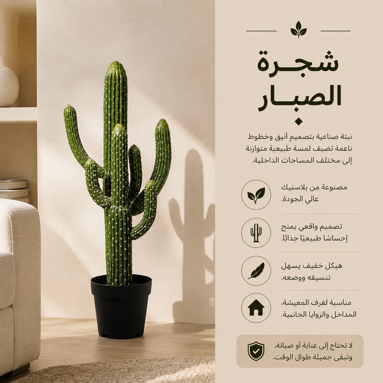 شجرة الصبار