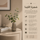 شجرة الكينا