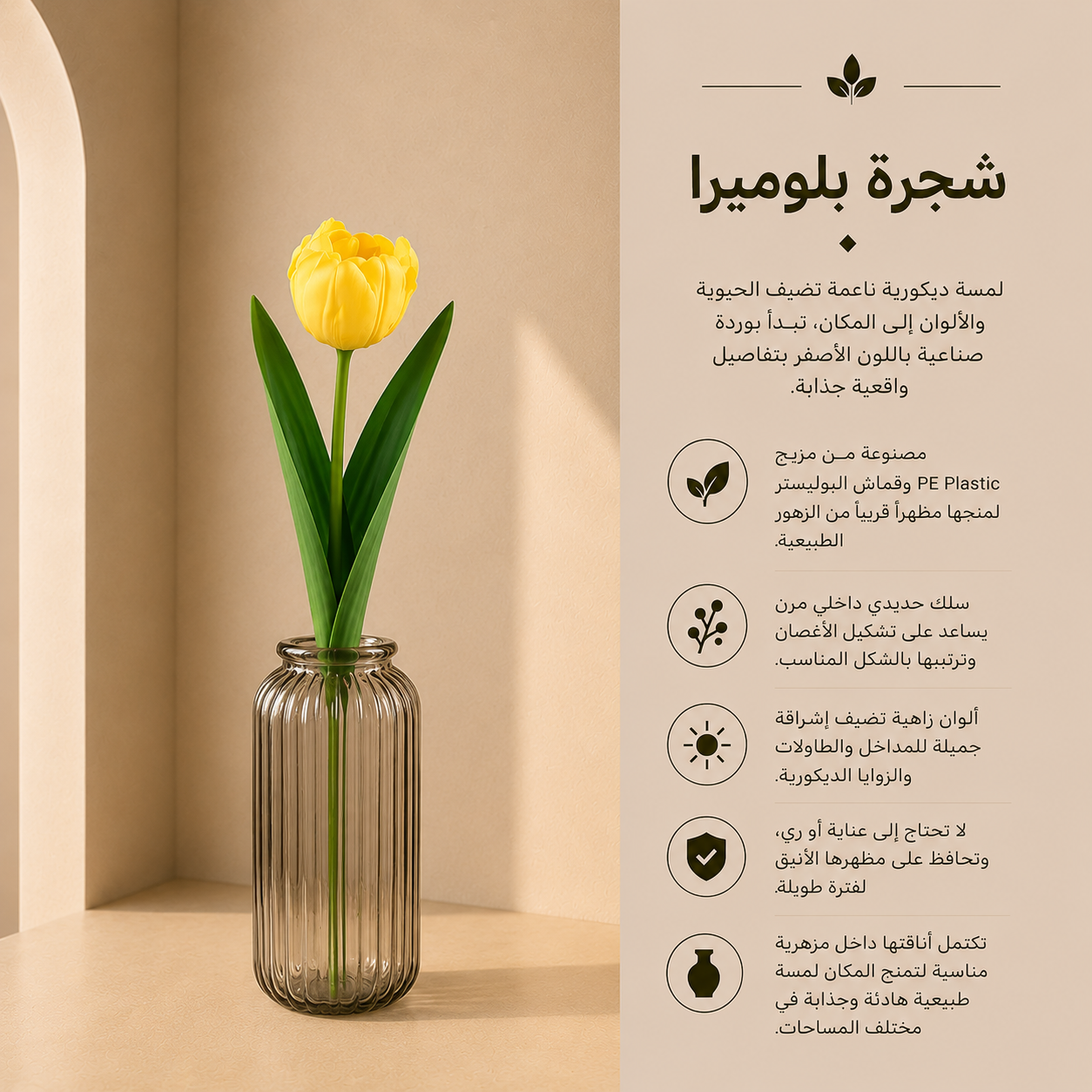 شجرة بلوميرا