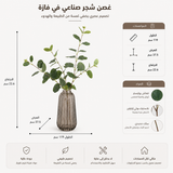 شجرة الكينا