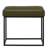 كرسي كلايف باللون الأخضر