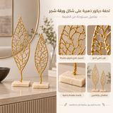 تحفة زينة | فايرو