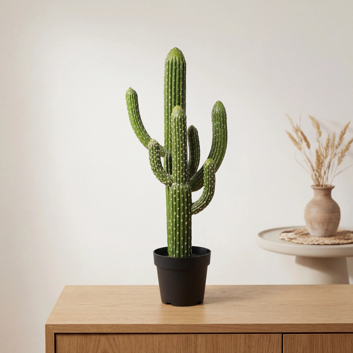 شجرة الصبار