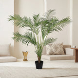 شجرة الأوريـسا