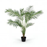 شجرة الأوريـسا