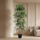 شجرة البامبو