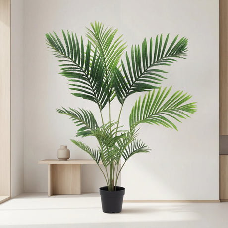 شجرة الإيلارا