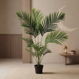 شجرة الإيلارا