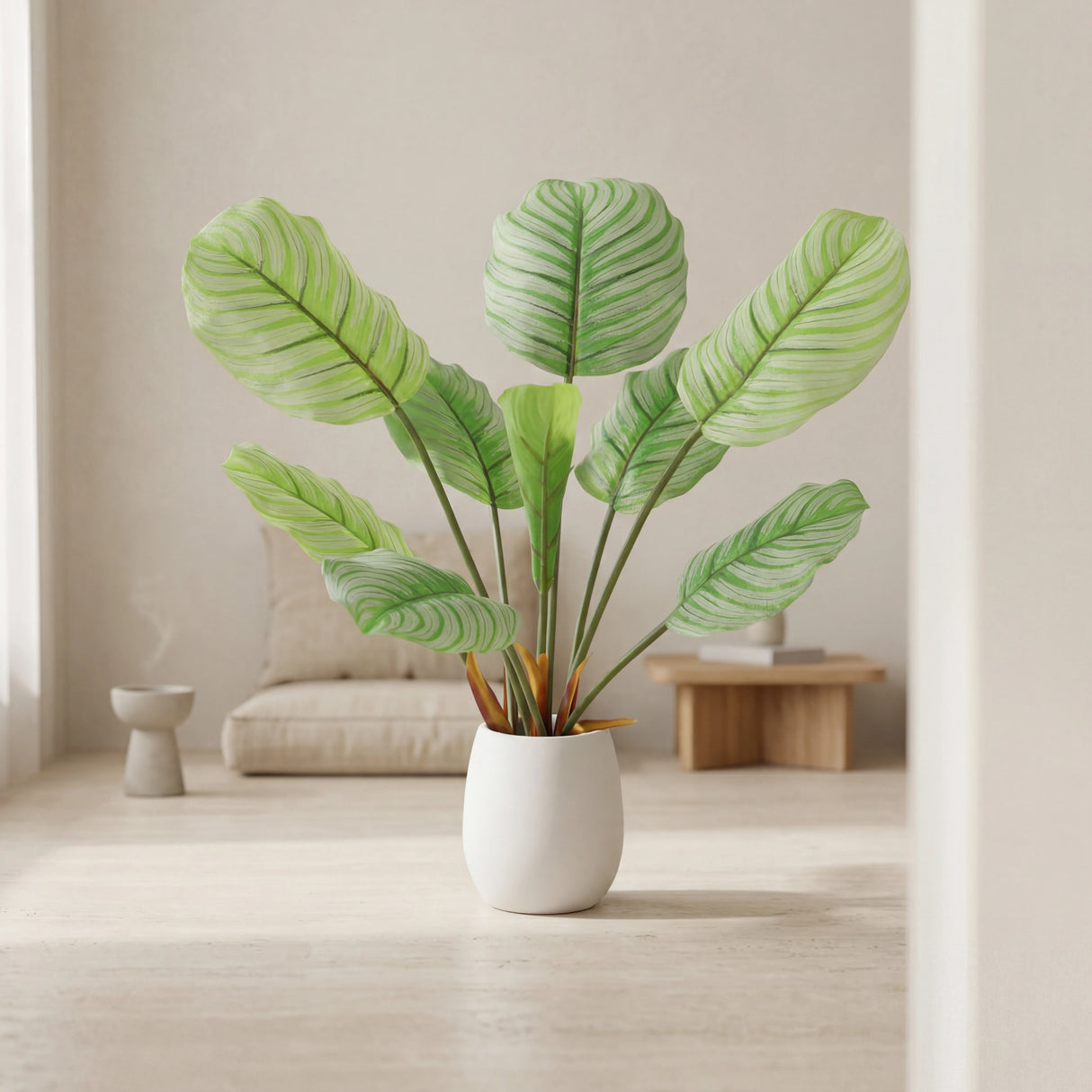 شجرة البلوم