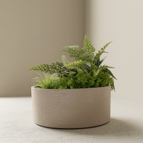 شجرة الإيريس