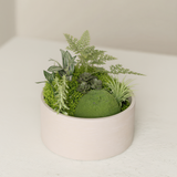 شجرة الإيريس