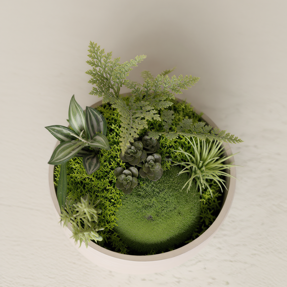 شجرة الإيريس